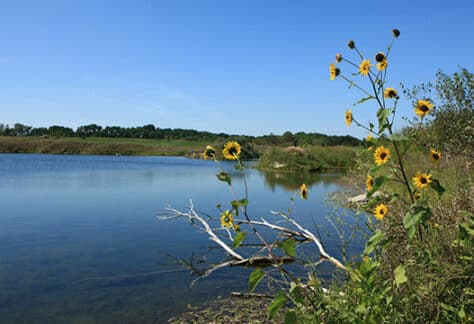 Courtesy of Illinois Department of Natural Resources